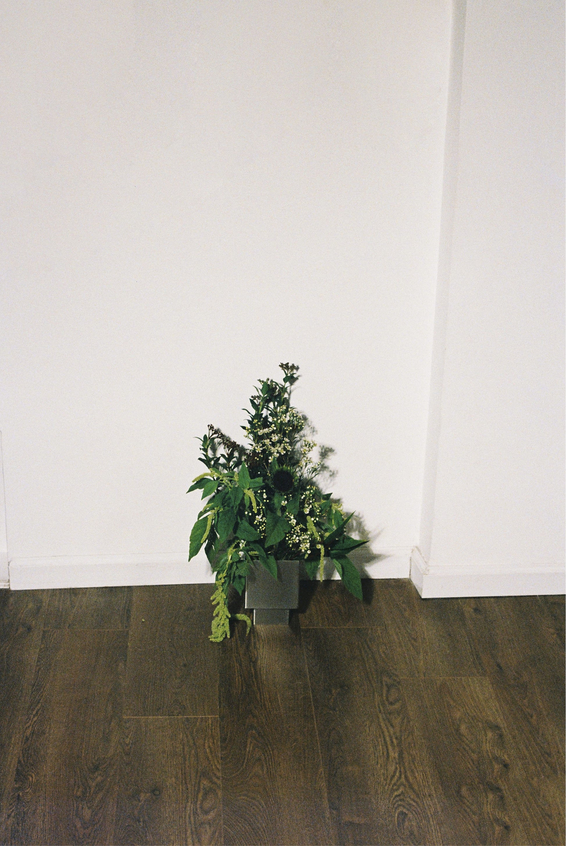 THE VASES