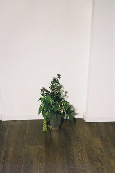 THE VASES